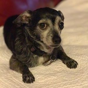 Meet your Posher, Lauri